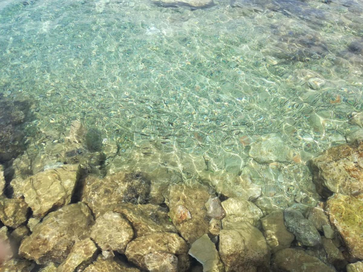 Apartmani Cesarica كارلوباغ المظهر الخارجي الصورة